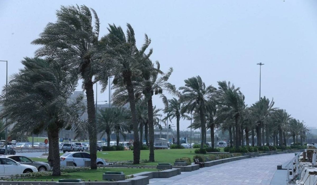 Northwesterly winds expected to continue over the weekend in Qatar 